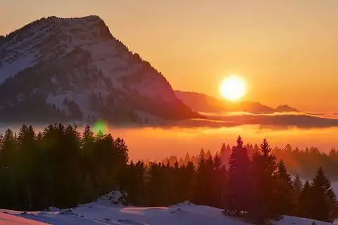 Privat Sex Appenzell