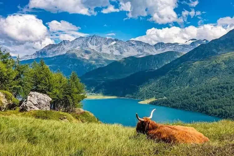 Erotik Graubünden
