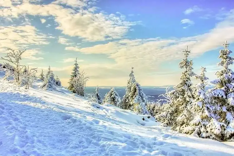 Erotik Harz