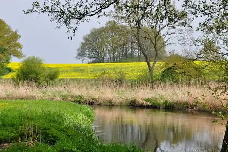 Sie sucht ihn Mecklenburg