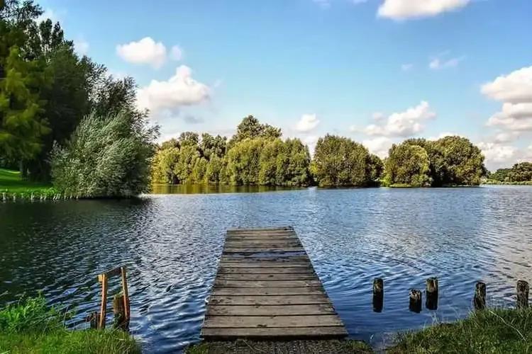 Ficken Salzgitter